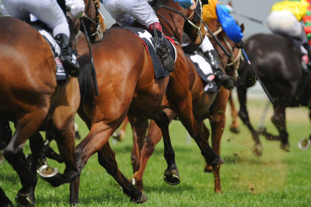 Horseracing image